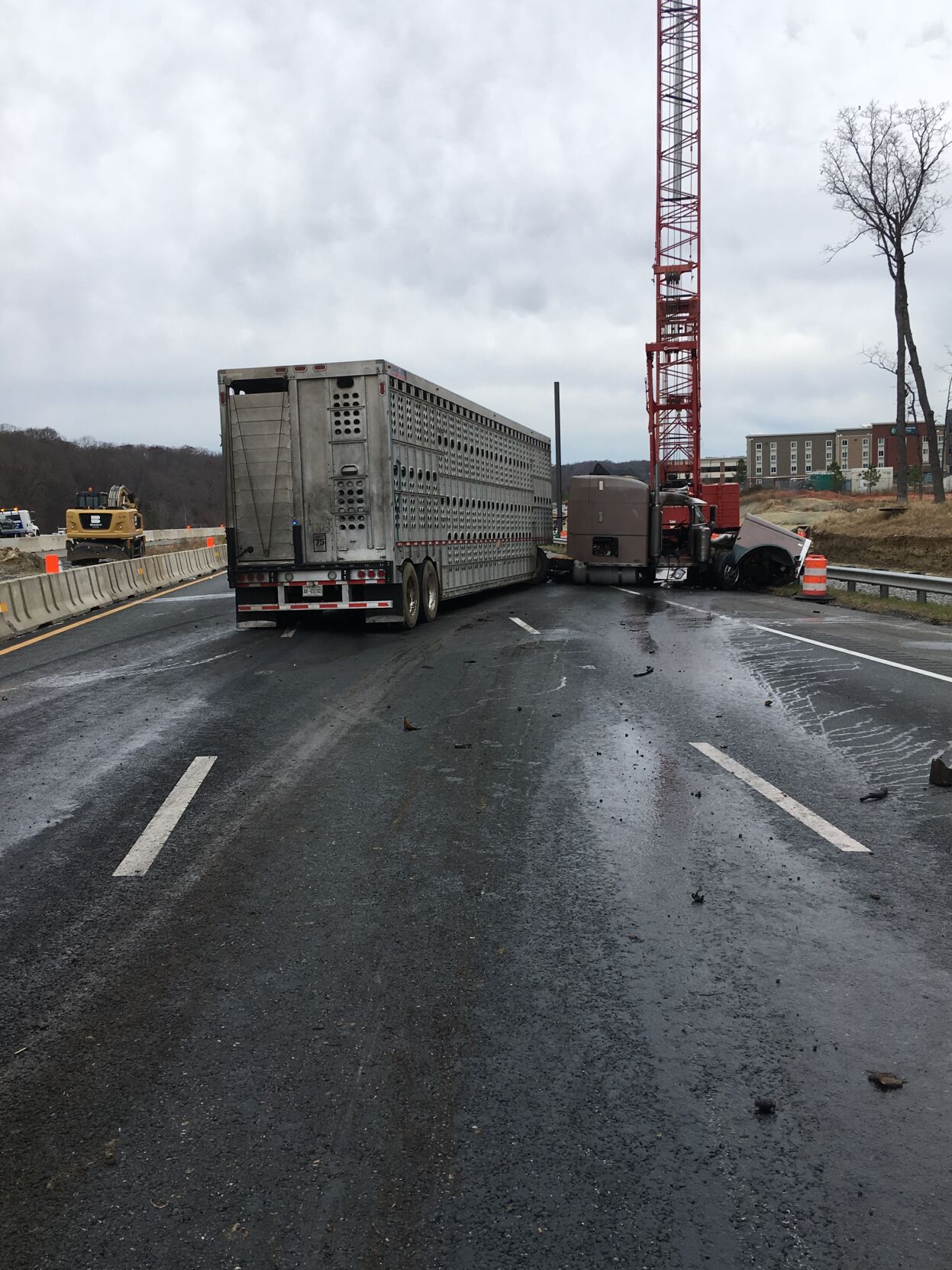 Pig truck crash 95